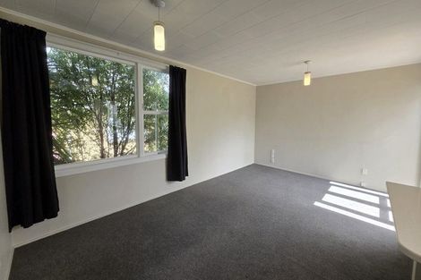 Photo of property in 24 Orr Crescent, Hutt Central, Lower Hutt, 5011