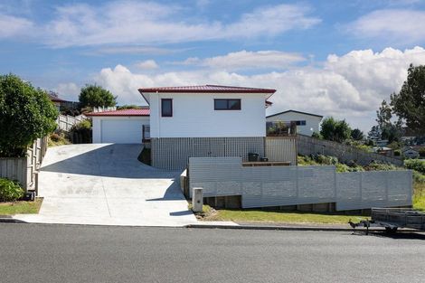 Photo of property in 19 Hartis Avenue, Huntly, 3700