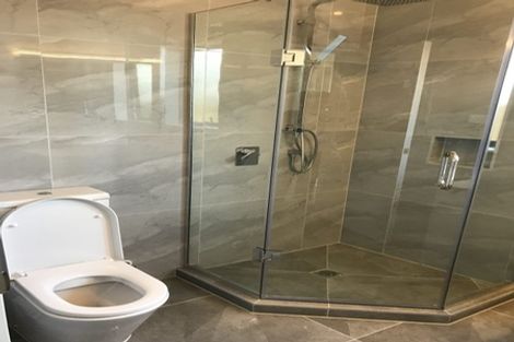 Photo of property in 19 Geranium Avenue, Flat Bush, Auckland, 2019