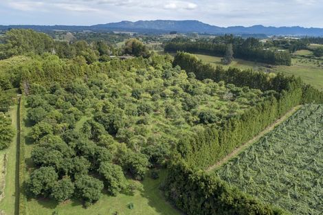 Photo of property in 109a Plummer Road, Whakamarama, Tauranga, 3179