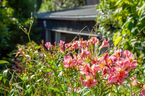 Photo of property in 61 Coroglen Rise, Pukerua Bay, 5026