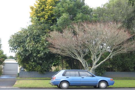 Photo of property in 142 Galloway Street, Hamilton East, Hamilton, 3216