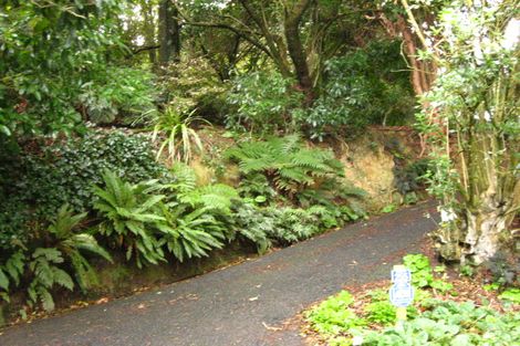 Photo of property in 255 Upper Junction Road, Sawyers Bay, Port Chalmers, 9023