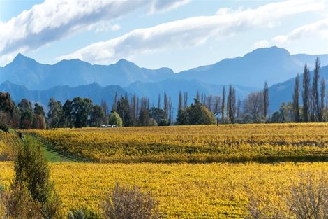 Photo of property in 31 Nikau Drive, Redwoodtown, Blenheim, 7201