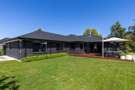 Photo of property in 243 Taylor Pass Road, Witherlea, Blenheim, 7201