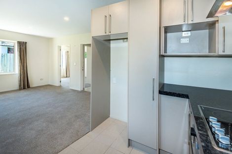 Photo of property in 1/19 Lascelles Street, Saint Martins, Christchurch, 8022