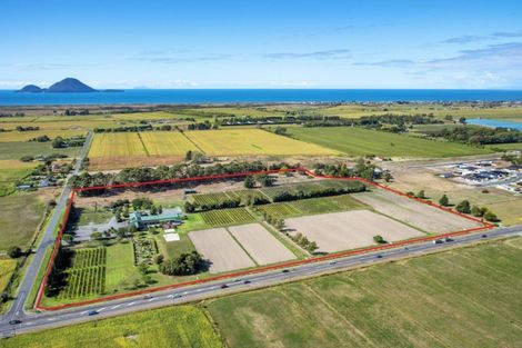 Photo of property in 12 Huna Road, Coastlands, Whakatane, 3191