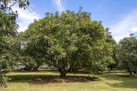 Photo of property in 43 Thompsons Track, Aongatete, Katikati, 3178