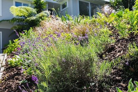 Photo of property in 8 Tui Terrace, Tawa, Wellington, 5028