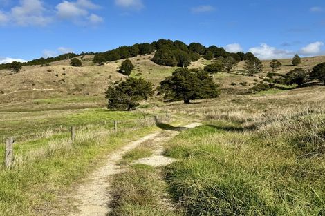 Photo of property in 967 Golden Stairs Road, Taipuha, Maungaturoto, 0589