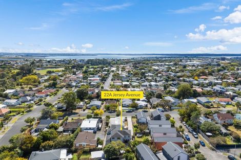 Photo of property in 22a Jersey Avenue, Mount Albert, Auckland, 1025