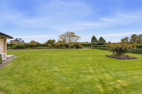 Photo of property in 53 Pohutukawa Drive, Levin, 5571