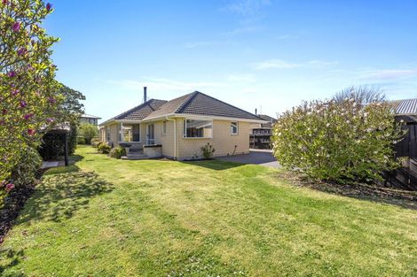 Photo of property in 19 Kinnaird Place, Hillmorton, Christchurch, 8025