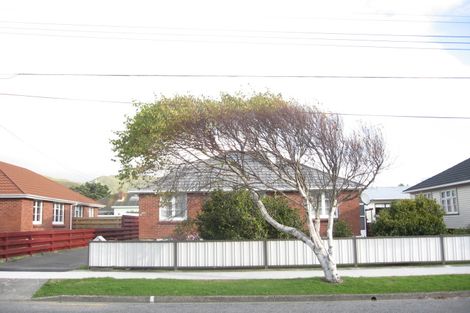 Photo of property in 1/50 Dyer Street, Epuni, Lower Hutt, 5011