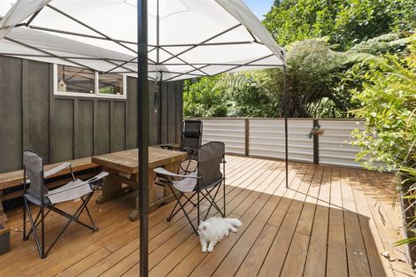 Photo of property in 113 Aorangi Road, Karangahake, 3600