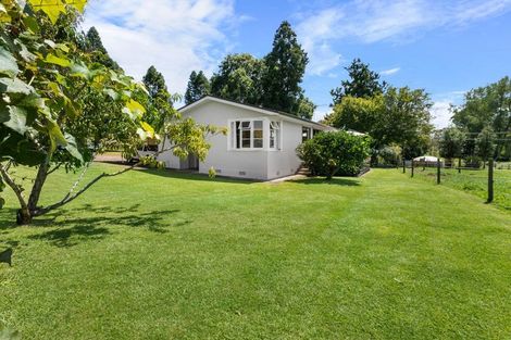 Photo of property in 1128 Tahuroa Road, Morrinsville, 3371