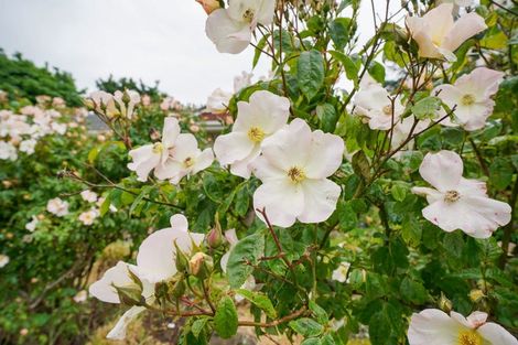 Photo of property in 134 East Road, Ascot, Invercargill, 9871