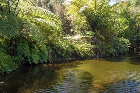 Photo of property in 42 Manu Grove, Waikanae, 5036