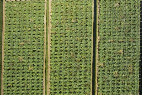 Photo of property in 121 Macdonald Road, Te Teko, Whakatane, 3192