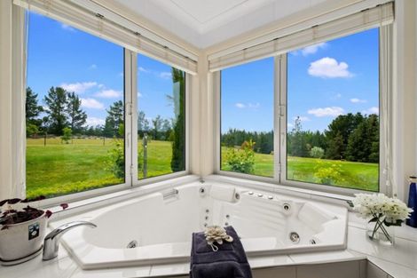 Photo of property in 60 Gilligans Gully Road, Alexandra, 9320