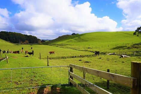 Photo of property in 533 Pataua South Road, Pataua South, Onerahi, 0192