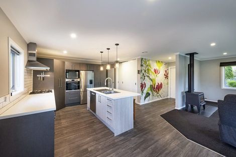 Photo of property in 20 Missy Crescent, Mount Pisa, Cromwell, 9383