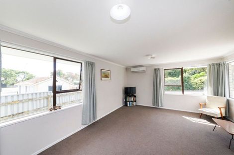 Photo of property in 155a Ruahine Street, Roslyn, Palmerston North, 4414