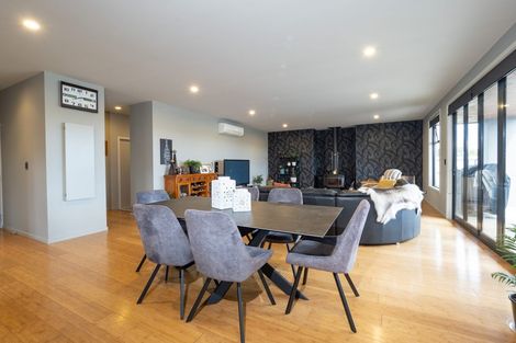 Photo of property in 55 Ludlow Drive, Huntingdon, Ashburton, 7774