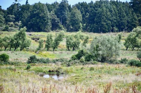 Photo of property in 216 Kongahu Swamp Road, Little Wanganui, Karamea, 7893