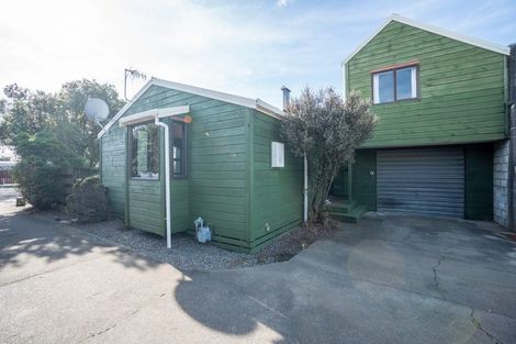Photo of property in 66c Limbrick Street, Terrace End, Palmerston North, 4410