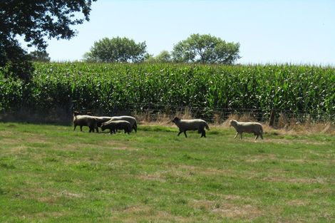 Photo of property in 452 Holland Road, Eureka, Hamilton, 3286