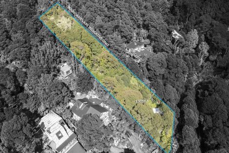 Photo of property in 70 Mountain Road, Henderson Valley, Auckland, 0612