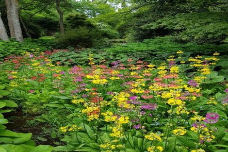 Photo of property in 38 Grammar Street, Kimbolton, 4777