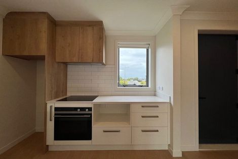 Photo of property in 10 Park Green Avenue, Rosehill, Papakura, 2113