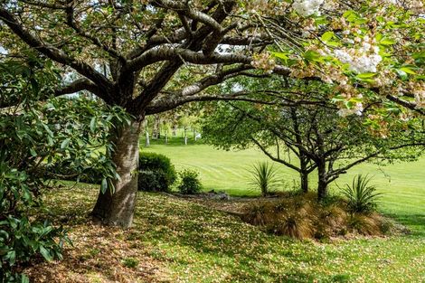 Photo of property in 703 Pleasant Point Highway, Levels, Timaru, 7975