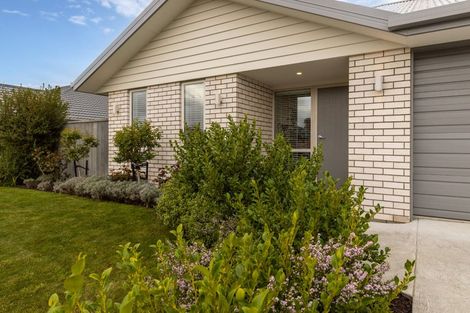 Photo of property in 40 Catalina Crescent, Burleigh, Blenheim, 7201
