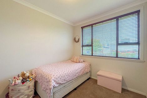 Photo of property in 16 Goodwin Street, Tirau, 3410