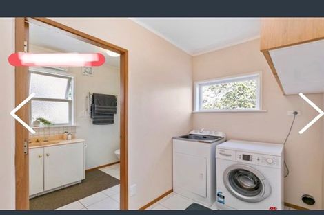 Photo of property in 22a Puriri Street, Miramar, Wellington, 6022