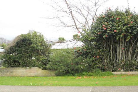 Photo of property in 13 Graham Street, Levin, 5510