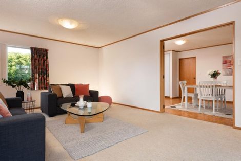 Photo of property in 205 Grenada Street, Mount Maunganui, 3116