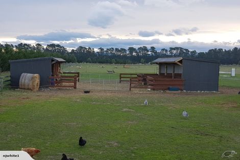 Photo of property in 44 Rands Road, Fernside, Rangiora, 7471