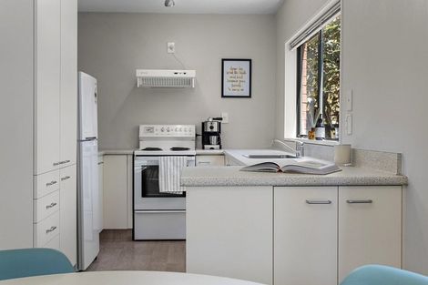 Photo of property in 103a Champion Street, Edgeware, Christchurch, 8013