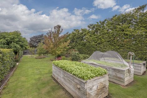 Photo of property in 25 Stables Drive, Lincoln, 7608