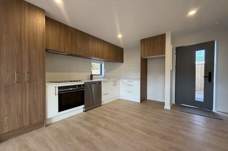 Photo of property in 3/45 Champion Street, Edgeware, Christchurch, 8013