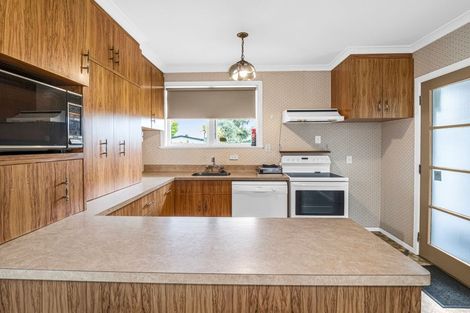 Photo of property in 22 Snowdon Avenue, Terrace End, Palmerston North, 4410