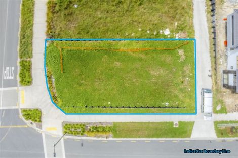 Photo of property in 65 Michael Bosher Way, Flat Bush, 2019