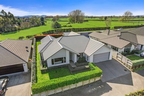 Photo of property in 46 Helen June Avenue, Flagstaff, Hamilton, 3210