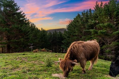 Photo of property in 233b Murphys Road, Judgeford, Porirua, 5381