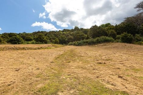 Photo of property in 423 Matakana Valley Road, Matakana, 0985