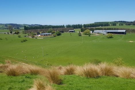 Photo of property in 14 Hall Road, Lovells Flat, Milton, 9292